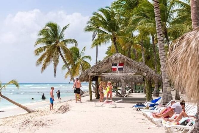 Saona Island Tour from Punta Cana All Inclusive - Getting there: pickups, ride time, and what to expect from the transport