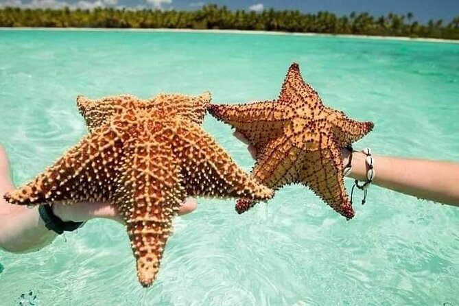 Saona Island Tour from Punta Cana All Inclusive - Stop 0: A sighting at the Basilica of Higuey