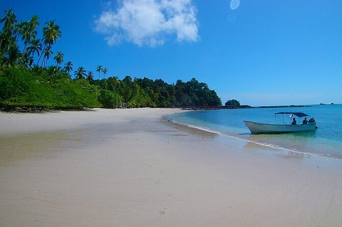 Saona Island Tour from Punta Cana with Lunch, Open Bar & Pickup - Saona Island: Three Hours on White Sand and Coral Snorkel Time