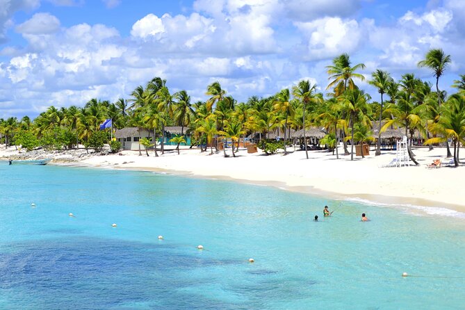 Saona Island Tour from Punta Cana with Lunch, Open Bar & Pickup - Price and Value at $68.55: What You’re Paying For