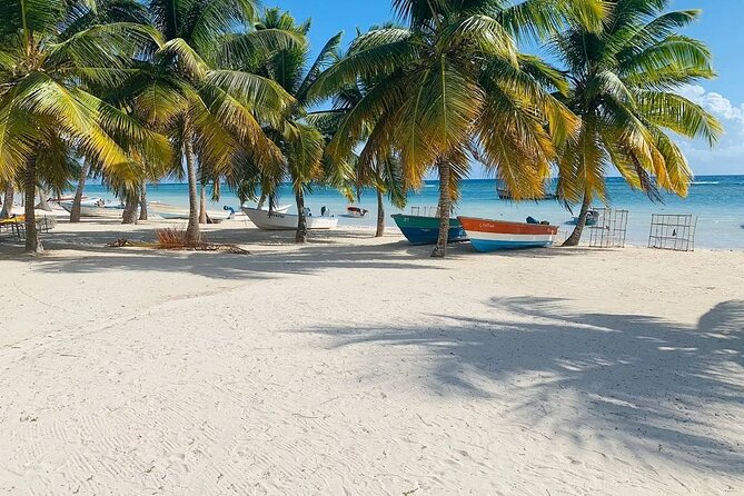 Saona Island Tour From Santo Domingo with Lunch, Open Bar, Pickup - Catamaran Return With Open Bar and Animators: How the Day Ends