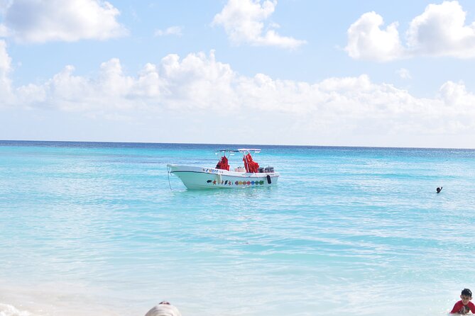 Saona Island Tour in Punta Cana - Catamaran Return Party: A Fun Finish to a Long Day