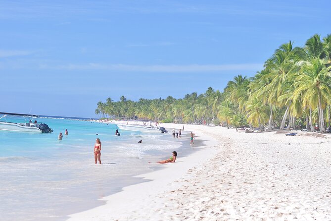 Saona Island Tour in Punta Cana - Price and Value: Is $95 Worth It?