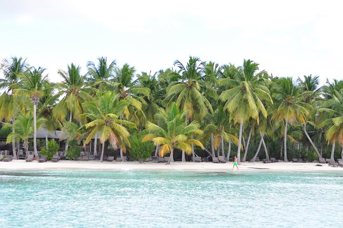 Saona Island Tour in Punta Cana - Who Should Book This Saona Day Trip?