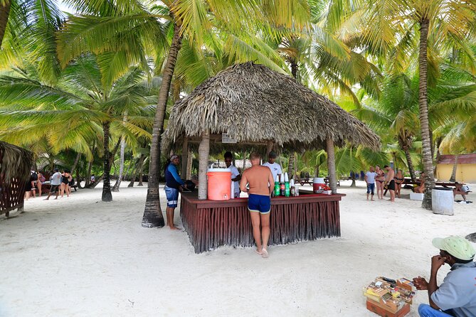 Saona Island Tour with Altos de Chavón from Punta Cana - The catamaran sea party: dancing is fun, space may not be