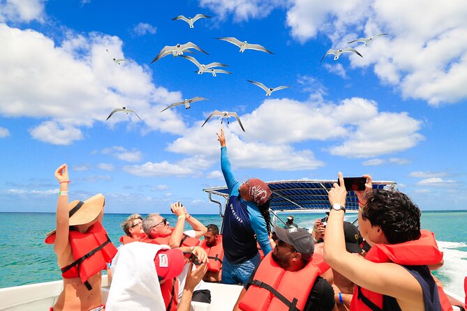 Saona Island Tour with Altos de Chavón from Punta Cana - Guide quality: some days are great, so ask the right questions