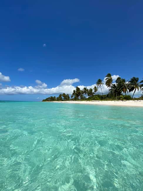 Saona Island VIP: 4 Beaches , Mano Juan & Canto de la Playa - Saona Island VIP: What You’re Actually Buying for $130