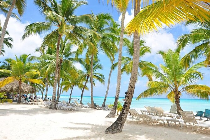 Saona Island VIP Experience – Private Boat for Up to 20 People - How this VIP Saona Island boat day is built (and what it really means)