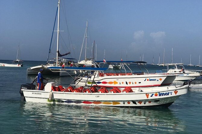 Saona Island VIP Experience – Private Boat for Up to 20 People - Private tour claims vs. real-world boat logistics (this is the part I’d verify)