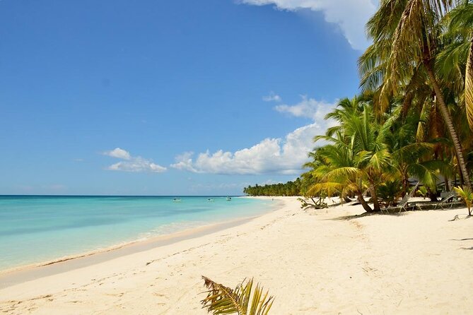 Saona Island VIP Experience – Private Boat for Up to 20 People - Service and communication: what “Dominican style hospitality” can mean day-of