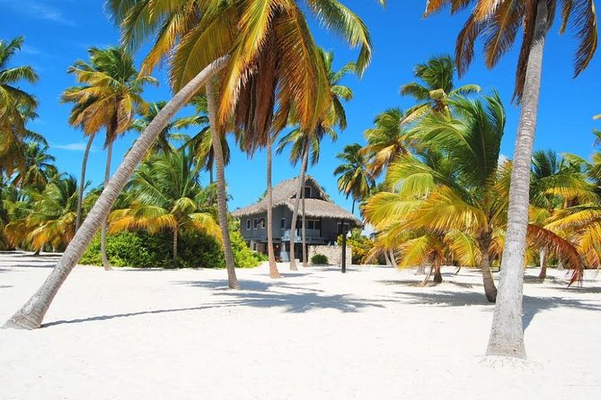 Saona Island VIP Full Day All Inclusive Excursion - Natural Pool (Blue Lagoon or Sandbanks): Worth It, But Know the Clock