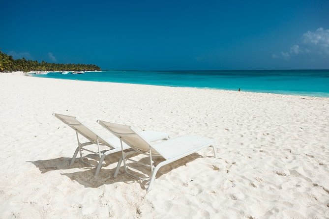 Saona Private Full-Day Tour from Punta Cana - Key highlights you’ll care about
