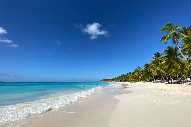 Saona Private Full-Day Tour from Punta Cana - What You Really Get for $660 Per Person
