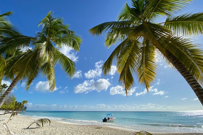 Saona Private Full-Day Tour from Punta Cana - Who Should Book This Private Saona Day