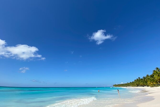 Saona Private Full-Day Tour from Punta Cana - Should You Book This Saona Private Full-Day Tour from Punta Cana?