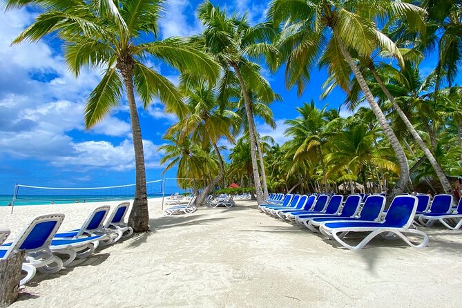 Saona Private Tour with Own Guide and Transport from Punta Cana - Playa Viva snorkeling: reef fish, feeding time, and gear included