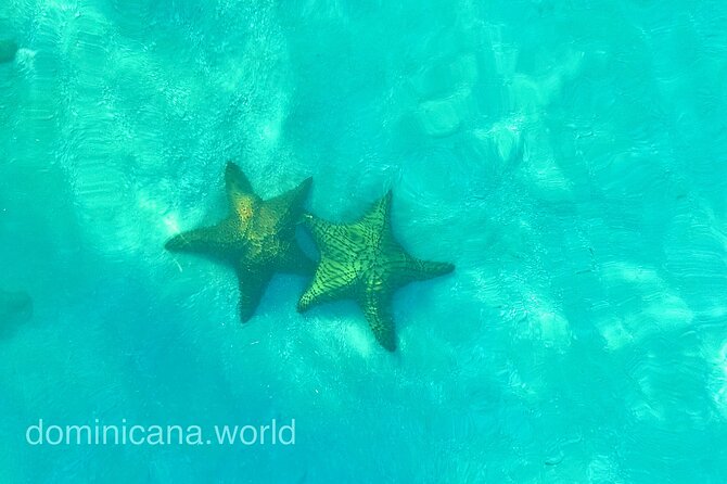 Saona Private Tour with Own Guide and Transport from Punta Cana - Piscina Natural (blue lagoon) and starfish: the hands-on stop