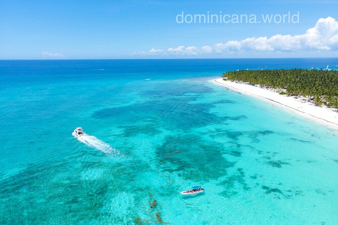 Saona Private Tour with Own Guide and Transport from Punta Cana - Guides make (or break) the day: who you might get