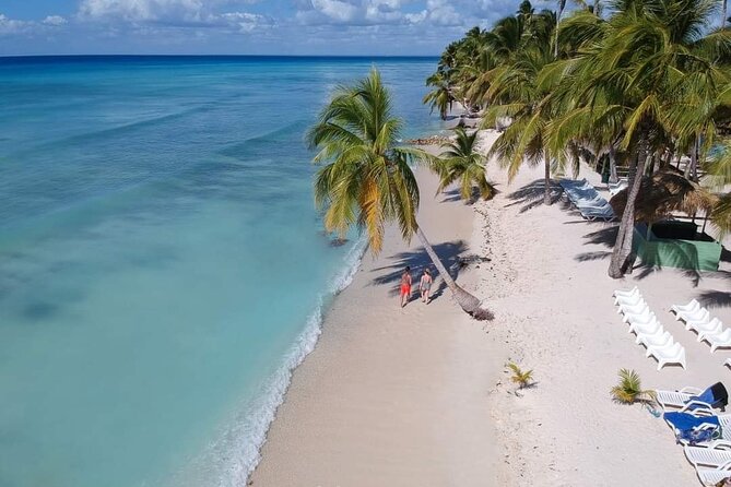 Saona Relax Tour - What I’d Watch Closely Before Booking