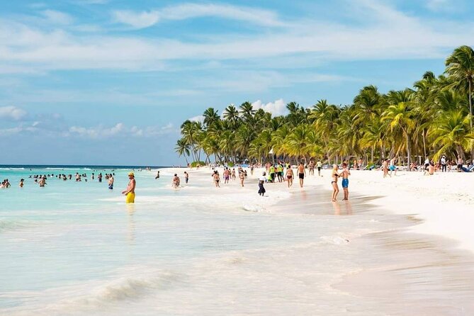 Saona Relax Tour - Key Things That Matter on Saona Relax