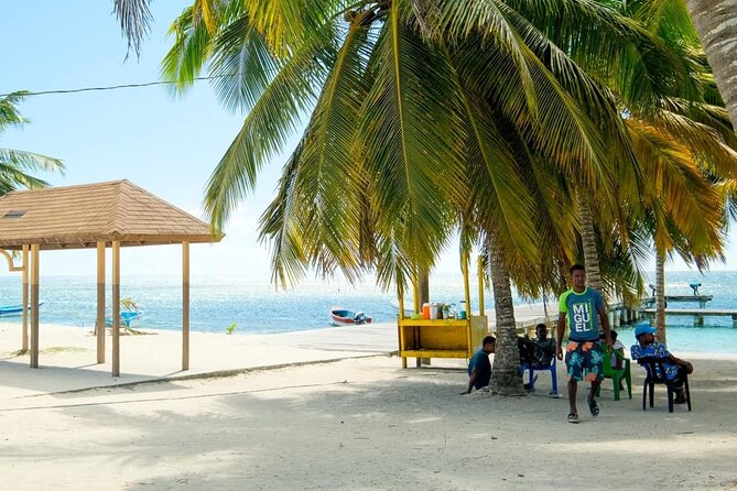 Saona VIP 3 Beaches, Natural Pool & Mano Juan Turtle Sanctuary - A VIP Saona day built around short transfers and real stops