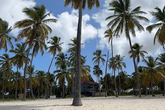 Saona VIP 3 Beaches, Natural Pool & Mano Juan Turtle Sanctuary - Mano Juan: the only inhabited village on Saona Island (and the turtle sanctuary)