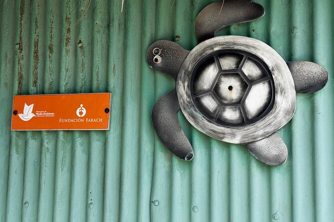 Saona VIP 3 Beaches, Natural Pool & Mano Juan Turtle Sanctuary - Natural Pool and the long beach lunch block at Saona