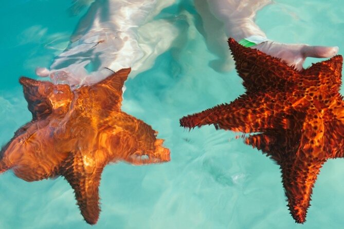 Saona VIP 3 Beaches, Natural Pool & Mano Juan Turtle Sanctuary - The return cruise through Catuano Channel and mangroves
