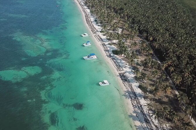 Saône Deluxe Platinum Island - Transfers and Boat Ride: Comfort Comes First, But Timing Can Slide