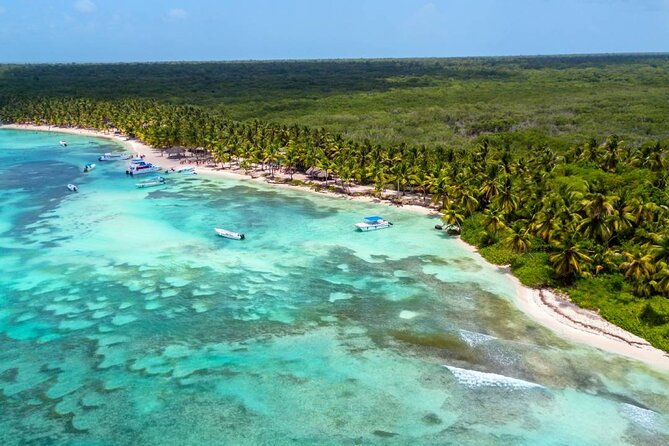 Saône Deluxe Platinum Island - Service Level: Pickup, Mobile Ticket, and the Human Factor