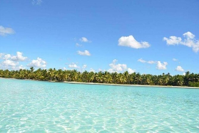 Saône Deluxe Platinum Island - Price and Logistics: Is $109 Worth It?