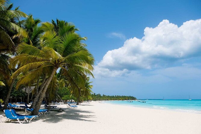 Saône Island from Punta Cana Catamaran, Natural Pool and Lunch - The catamaran ride to Saona: long enough to enjoy, not long enough to regret