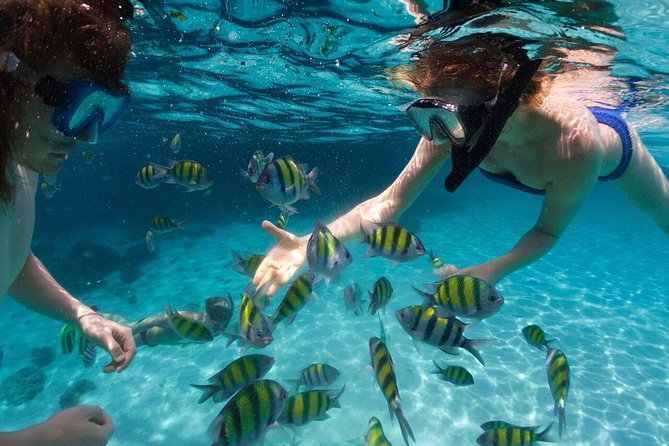 Scape Park Sunshine Cruise at Cap Cana - Getting to Cap Cana: you start with the right kind of convenience