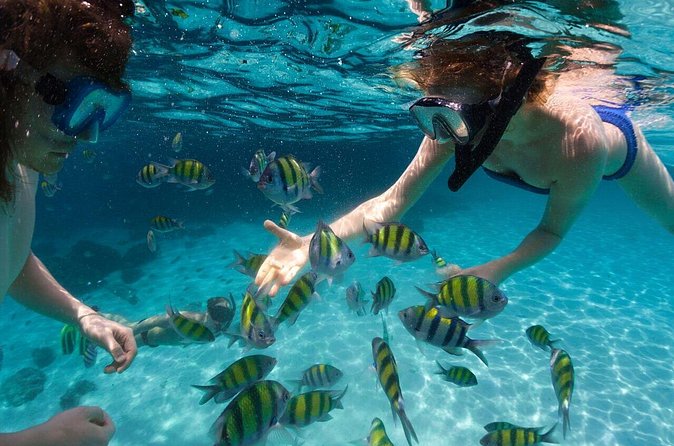 Scape Park Sunshine Cruise at Cap Cana - The catamaran ride: double-deck space + open bar energy