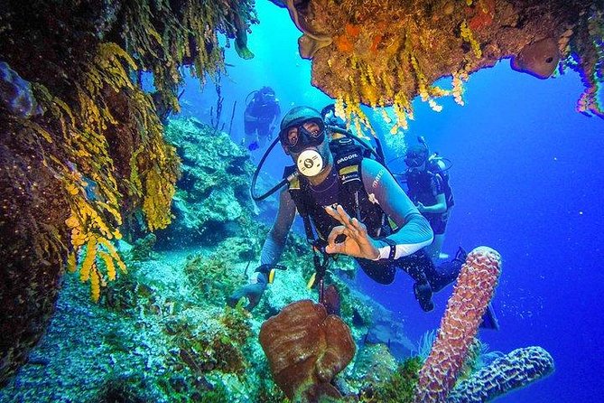 Scuba Diving at Catalina Island - 2 tank | 2 spots - The 7:30 AM Start: What the Day Feels Like