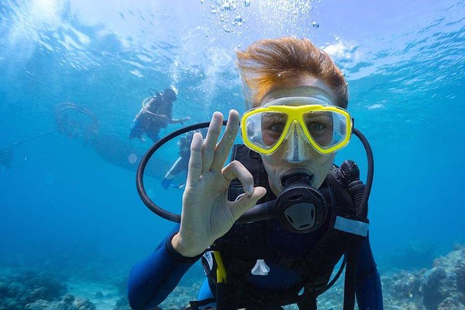 Scuba Diving at Catalina Island - 2 tank - for Certified Divers - Key Things I’d Know Before You Go