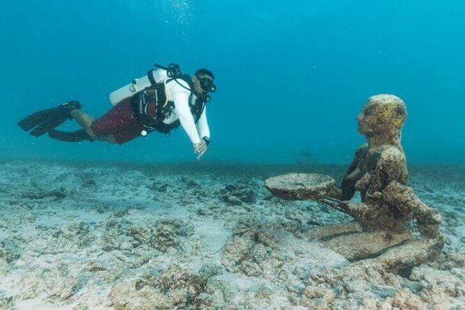 Scuba Diving at Catalina Island - 2 tank - for Certified Divers - Group Size, Instructor Lead, and What That Means for Your Comfort