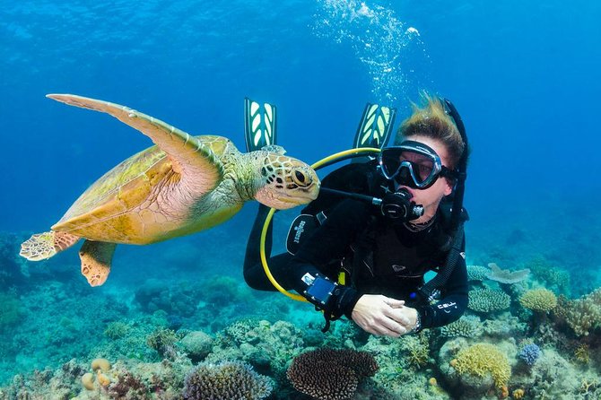 Scuba Diving on Catalina Island | 2 tanks, 2 spots - Key things I’d bet on before booking