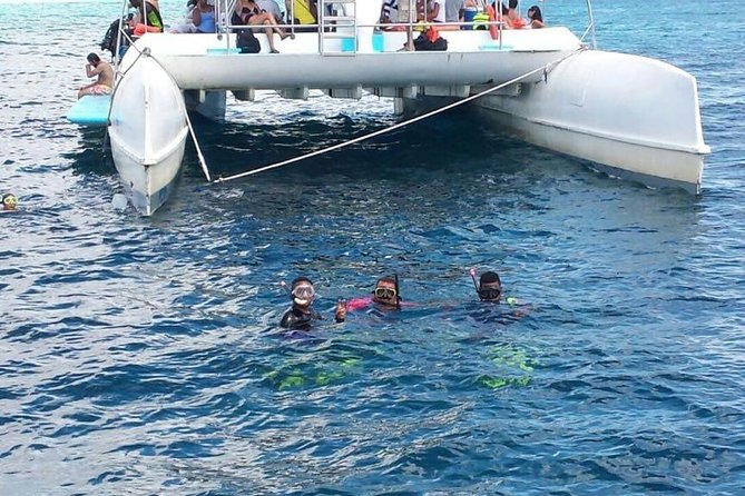 Scuba Diving on Catalina Island | 2 tanks, 2 spots - El Acuario: The Shallow Coral Garden Moment (3 to 6m)