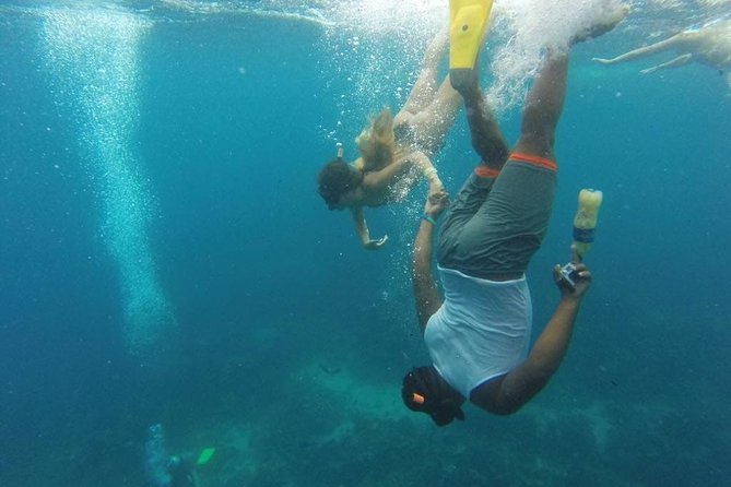 Scuba Diving on Catalina Island | 2 tanks, 2 spots - What This Tour Does Well (And Where It Might Not)