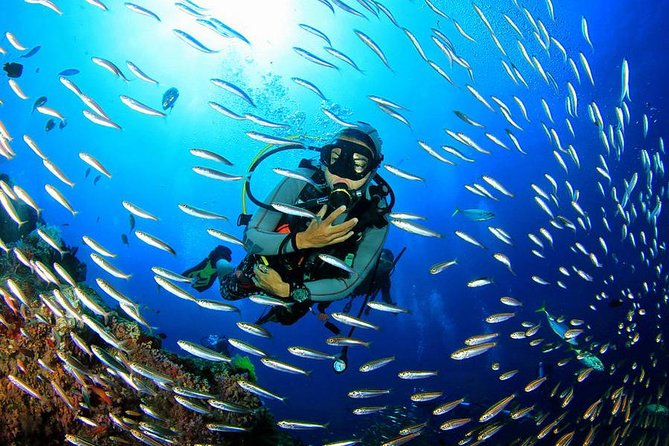 Scuba Diving on Catalina Island | 2 tanks, 2 spots - The 7:30am Run-Up: Getting From Your Hotel to Catalina Waters