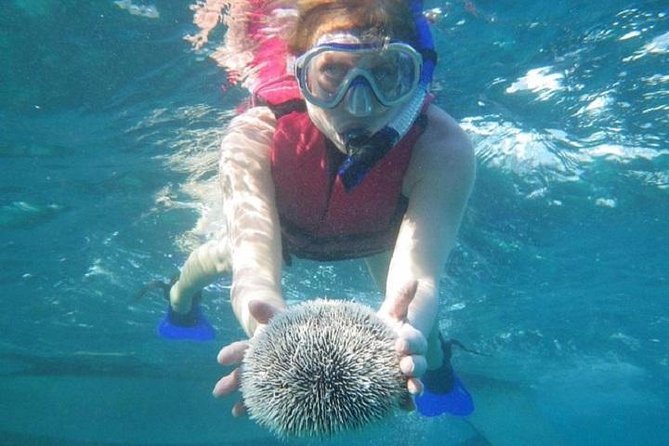 Scuba Doo Underwater Scooter in Punta Cana (Half Day) - The Scuba Doo helmet: how you breathe and steer