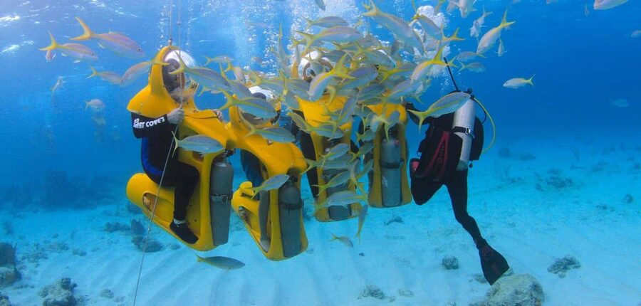 Scubadoo Punta Cana Diving Adventure - Key highlights to expect