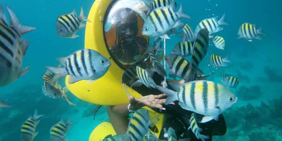 Scubadoo Punta Cana Diving Adventure - How the Scubadoo Subacuatic Scooter Works in Punta Cana