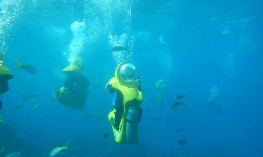 Scubadoo Punta Cana Diving Adventure - What a 4-hour outing feels like, from pickup to reef time
