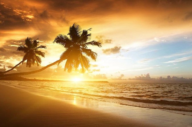 Secrets Royal Beach - Round Trip Shuttle - Punta Cana Airport - Practical Tips That Make the Ride Go Smoothly