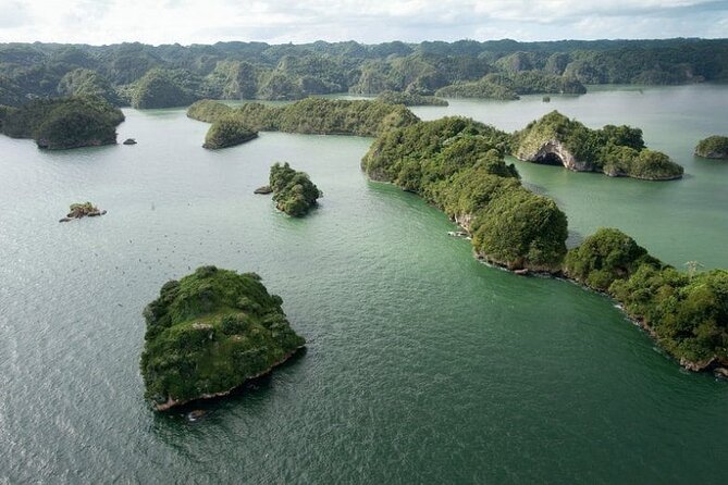 Shared 10-12 Hours Tour in Los Haitises National Park - Price and Value: Why $129 Can Make Sense Here