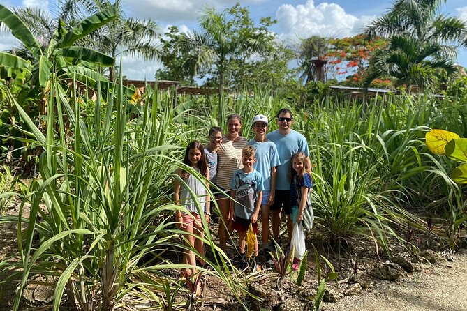Shared Half-Day Tour in Punta Cana with Local Guide - Stop 1: World Mart Souvenirs, a useful store if you shop with intent