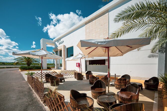 Shopping Tour in Punta Cana with Round Trip Transportation - What You’ll Love Most: Calm Shopping, Try-Before-You-Buy, Pickup Included