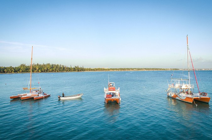 Small-Group Cruising and Snorkeling Catamaran Tour - Snorkeling in a natural reserve: less crowded water, more fish time